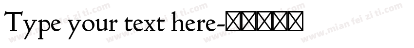 Type your text here字体转换